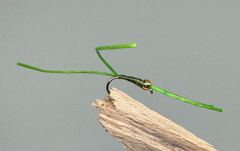 Gold head olive apps bloodworm x 3