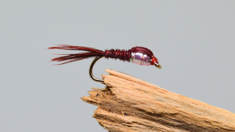 Bloody Pearl Thorax Pheasant Tail x 3 - Fast Flies top trout flies