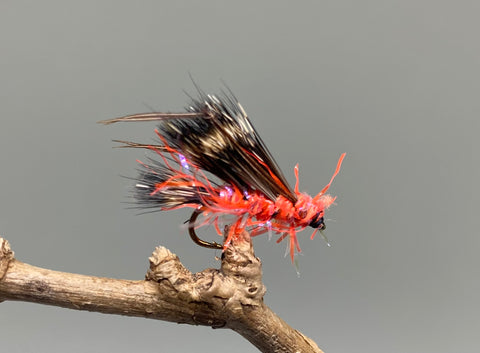 Straggle Red Fritz Sedgehog x 3