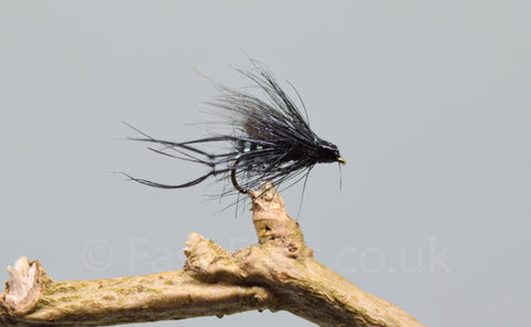 CDC Black Bristol Hoppers x 3 - Fast Flies top trout flies