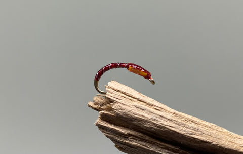 Claret buzzer with UV x 3