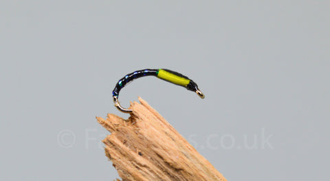 Sunburst Cheek x 3 - Fast Flies top trout flies
