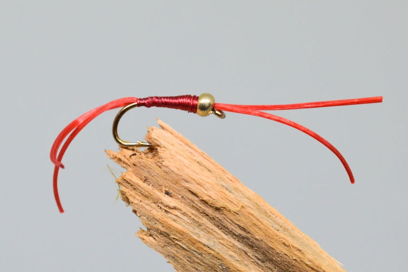 Gold head red apps bloodworm x (Barbed or Barbless) – Fast Flies