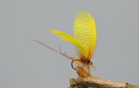 Yellow Drake May Flies - Fast Flies top trout flies