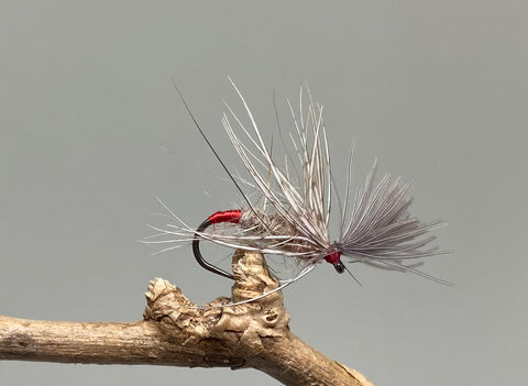 Red Butt Grunter x 3   (Barbed & Barbless)