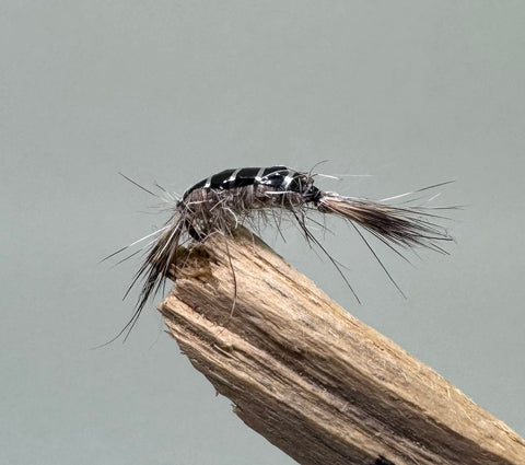 Anglian water hares ear shrimp x 3   (Barbless)