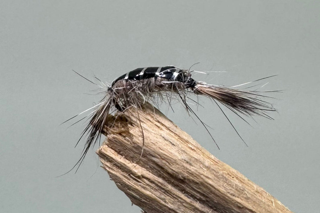 Anglian water hares ear shrimp x 3 Barbed
