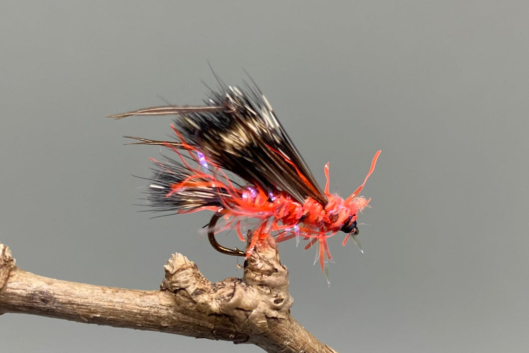 Straggle Orange Fritz Sedgehog x 3  (Barbed)