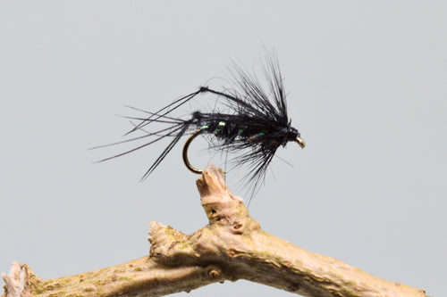 Black Bristol Hoppers x 3  (Barbed)