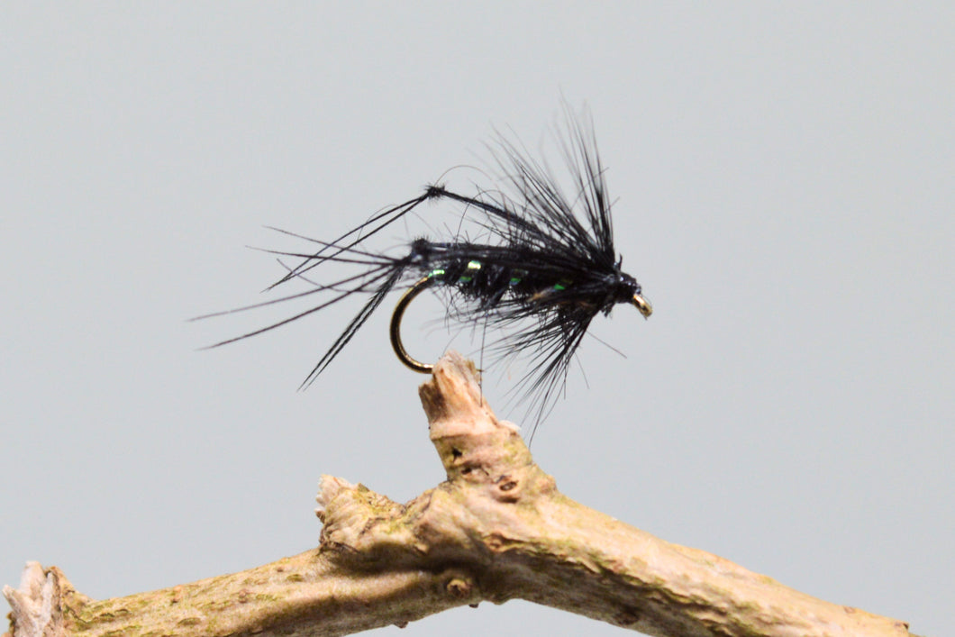 Black Bristol Hoppers x 3  (Barbed)