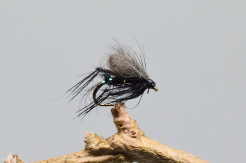 CDC Black Bristol Hoppers x 3   (Barbed & Barbless)