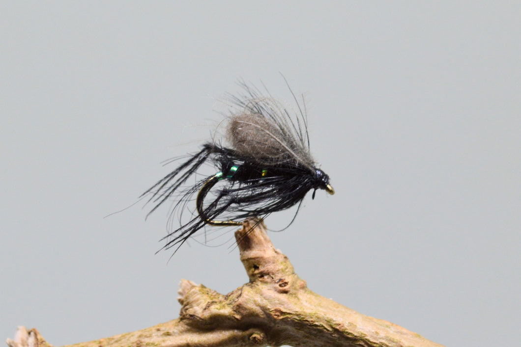 CDC Black Bristol Hoppers x 3   (Barbed & Barbless)