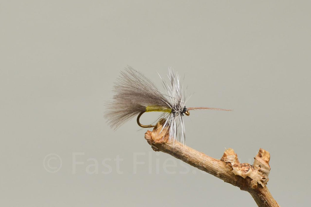 CDC High Rider Yellow x 3  (Barbed)