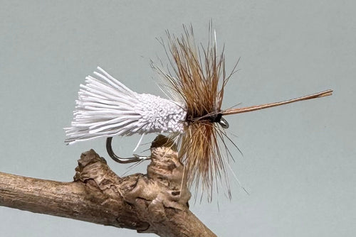 Goddard's Sedge Natural x 3  (Barbed)