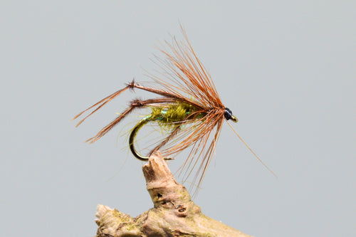 Olive Bristol Hoppers x 3  (Barbed)