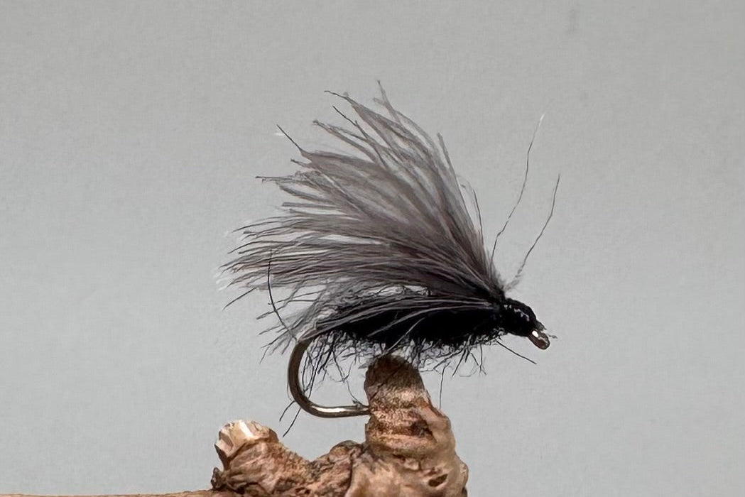 CDC Black F Flies x 3   (Barbed & Barbless)