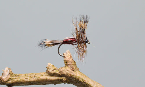 Claret Humpy (Barbless)
