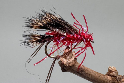 Straggle Red Fritz Sedgehog x 3  (Barbed)