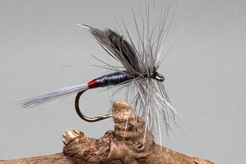 Iron Blue Dun x 3 (Barbed or Barbless)