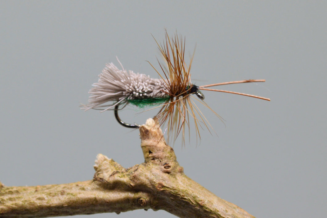 Green G & H Sedges x 3  (Barbed)