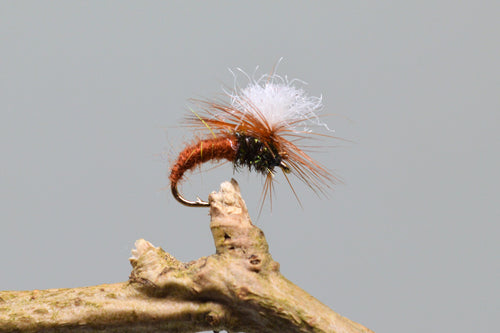 Brown Klinkhammers x 3  (Barbed)