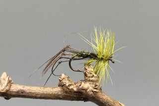 Olive Hoppers x 3  (Barbed)