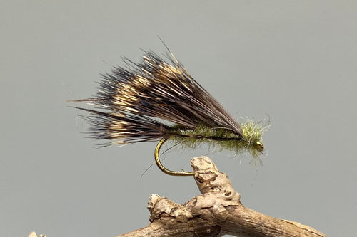 Olive Sedgehog x 3  (Barbed)