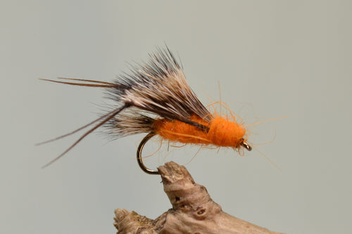 Orange Sedgehog x 3  (Barbed)