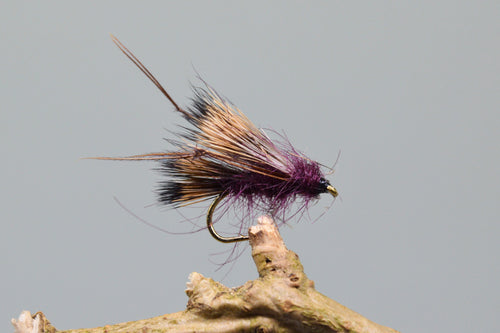 Claret Sedgehog x 3  (Barbed)