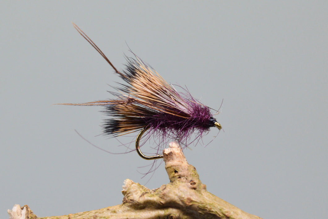 Claret Sedgehog x 3  (Barbed)