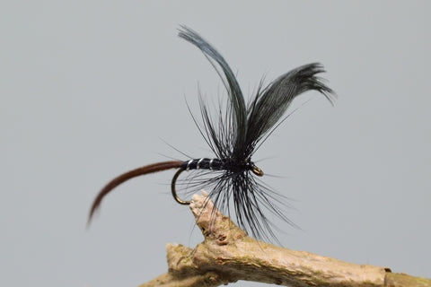 Black Drake May Flies x 3