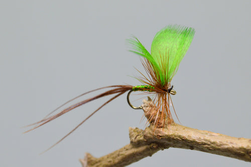 Green Drake May Flies x 3   (Barbed)