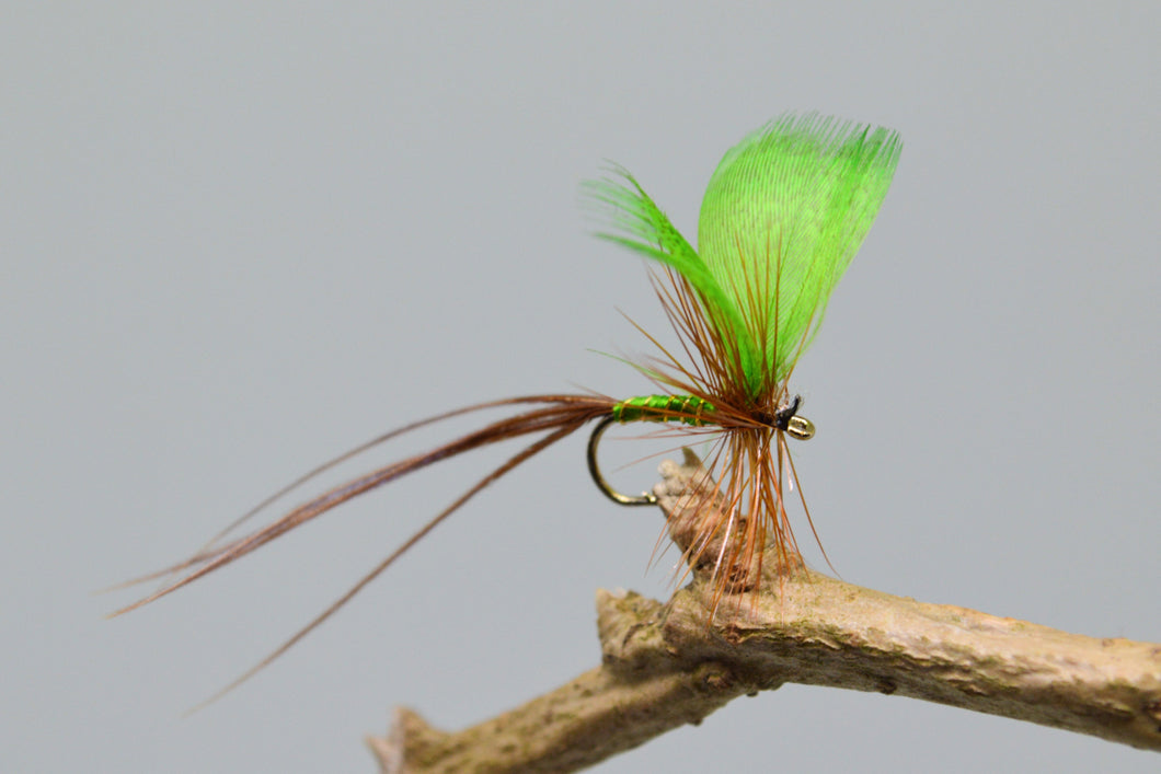 Green Drake May Flies x 3   (Barbed)