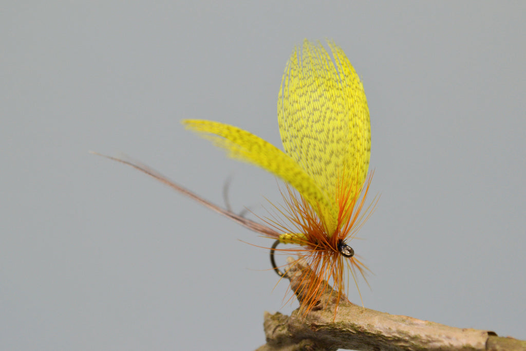 Yellow Drake May Flies x 3 (Barbed) – Fast Flies