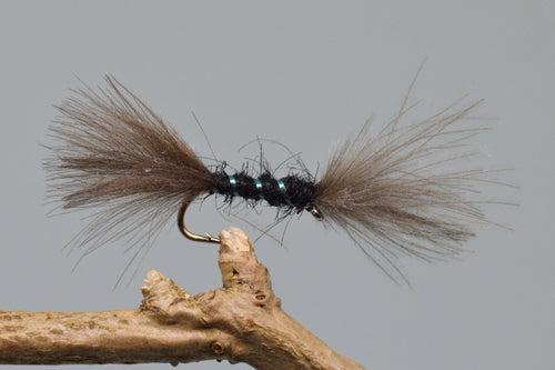 CDC Black Shipmans Buzzers x 3   (Barbed & Barbless)