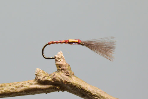 CDC Claret Skinny Shuttlecock Buzzers x 3  (Barbed)