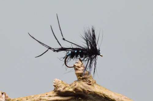 Black Raiders x 3   (Barbed & Barbless)