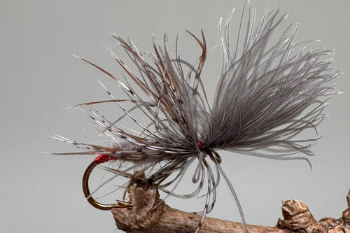 Red Butt Grunter x 3   (Barbed & Barbless)