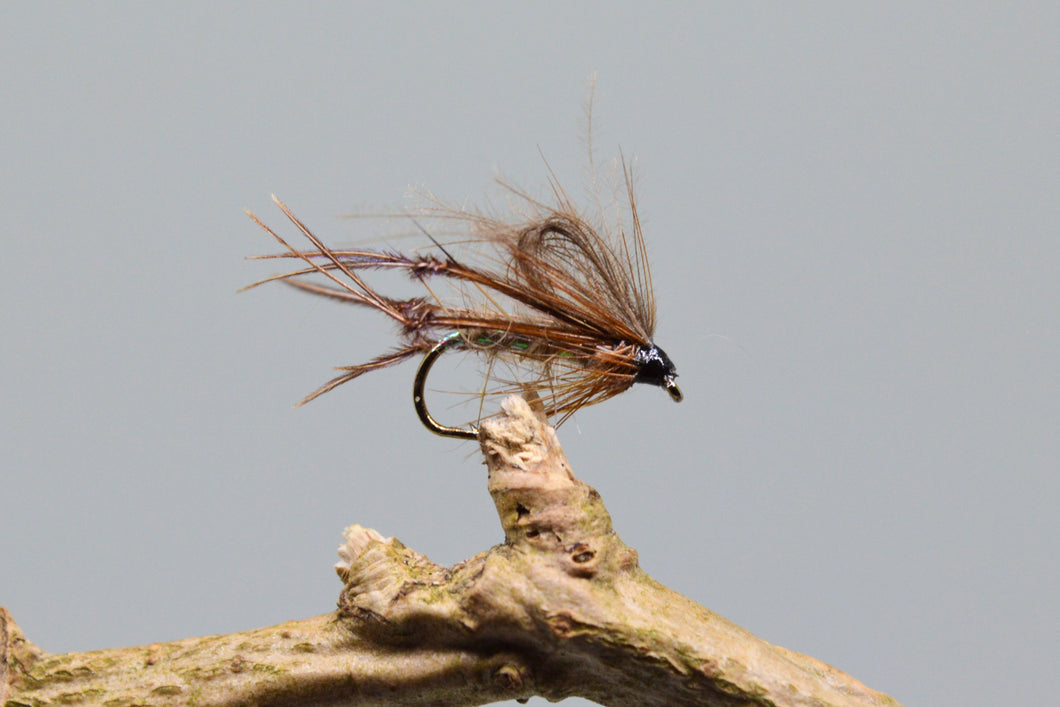 CDC Hares Ear Bristol Hoppers x 3  (Barbed)