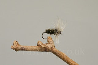 Badger x 3  (Barbed)