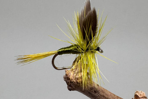 Olive Dun / dry x 3   (Barbed & Barbless)