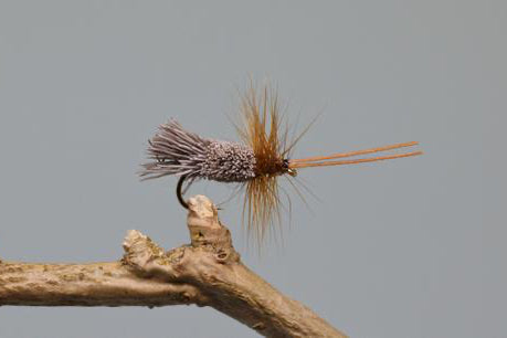 G & H Black sedge x 3  (Barbed)
