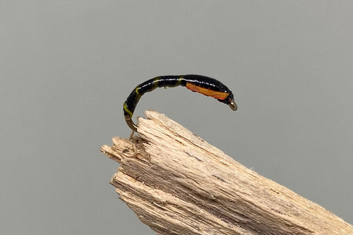 Tiger Buzzer x 3. (Barbed)