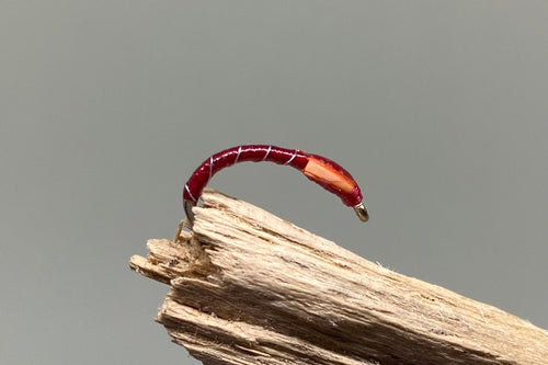 Scarlet Fluo buzzer x 3   (Barbed or Barbless)