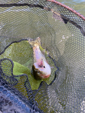 Ace of spades (green fluorescent head) x 3  (Barbed)