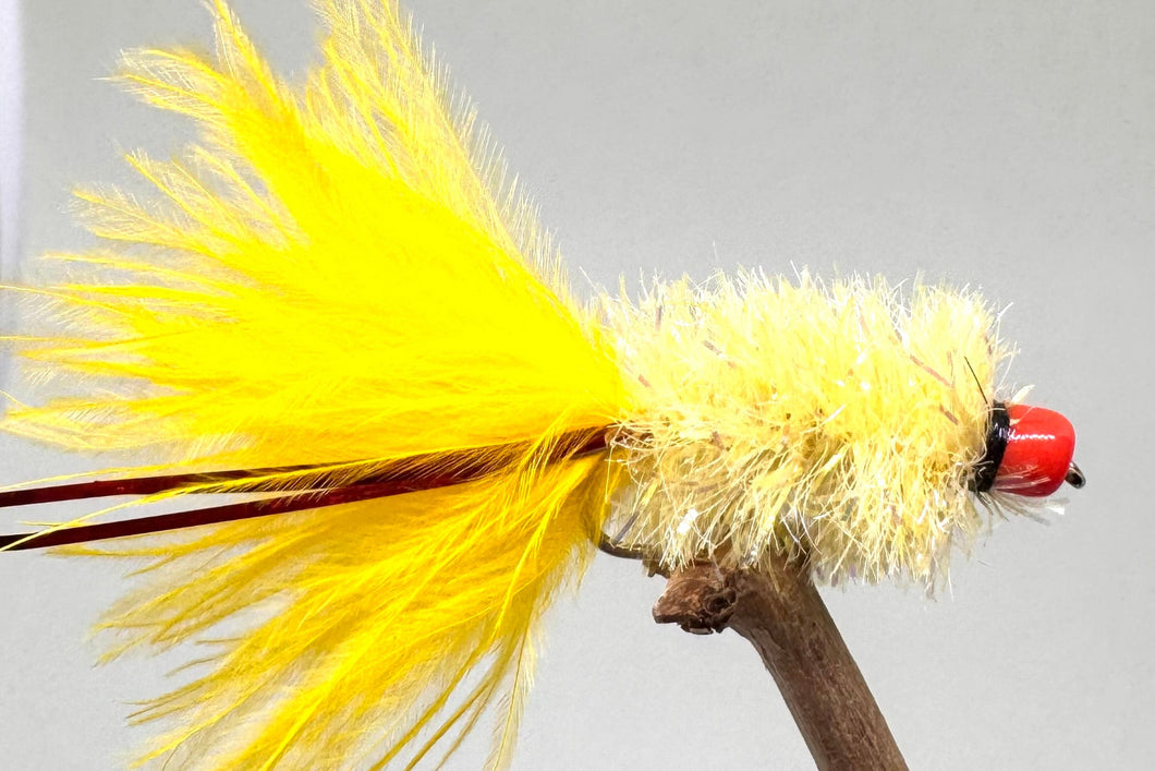 Ally McCoist Sunburst x 3   (Barbed)