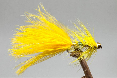 Gold Head sunburst dancer x 3  (Barbed)
