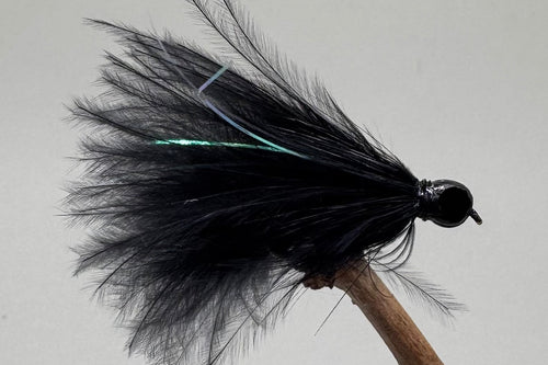 Shimmy x 3  (Barbed)