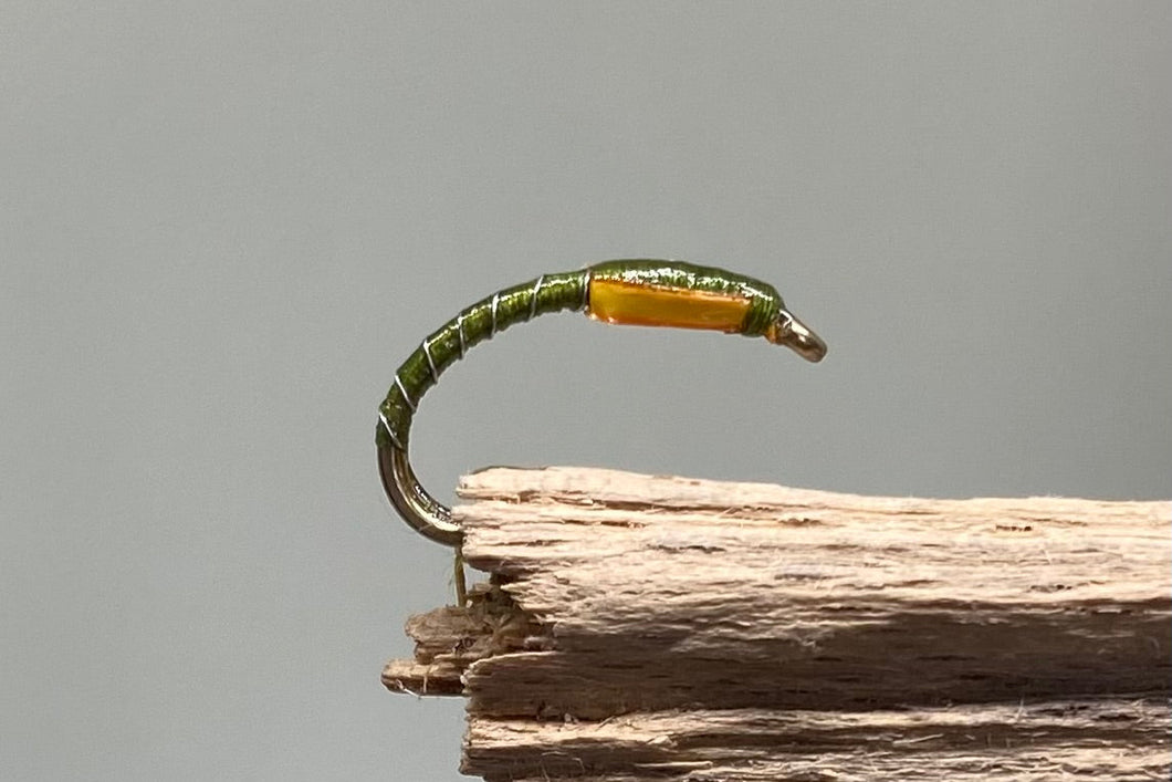 Olive with orange cheeks x 3. (Barbed)