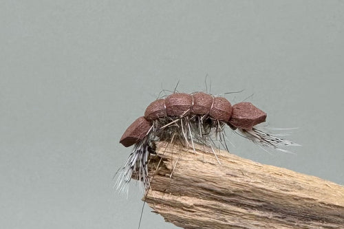 Brown Scud (Barbless) x 3